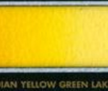 B118 Indian Yellow Green Lake Extra/Κίτρινο Πράσινο Ινδίας Διαφανή - 6ml